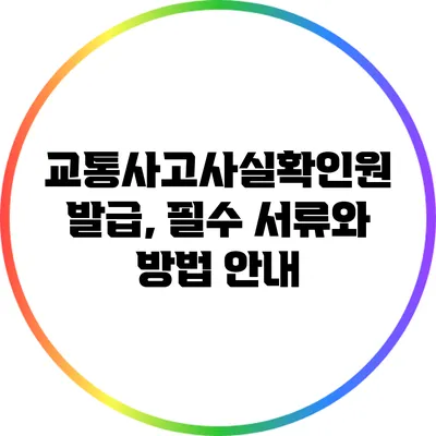 교통사고사실확인원 발급, 필수 서류와 방법 안내