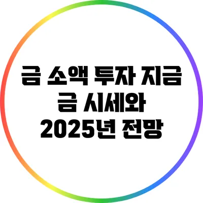 금 소액 투자: 지금 금 시세와 2025년 전망