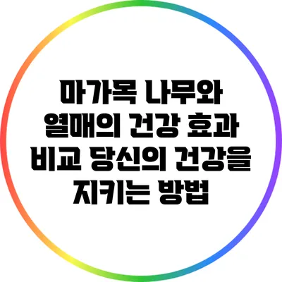 마가목 나무와 열매의 건강 효과 비교: 당신의 건강을 지키는 방법