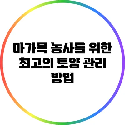 마가목 농사를 위한 최고의 토양 관리 방법