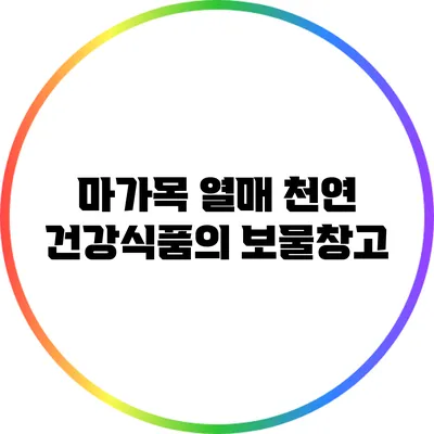 마가목 열매: 천연 건강식품의 보물창고