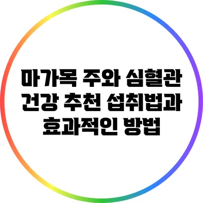 마가목 주와 심혈관 건강: 추천 섭취법과 효과적인 방법