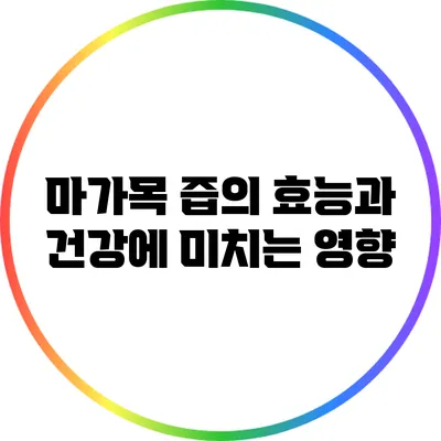 마가목 즙의 효능과 건강에 미치는 영향