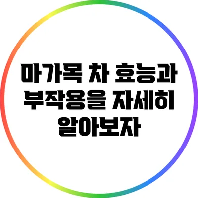 마가목 차: 효능과 부작용을 자세히 알아보자