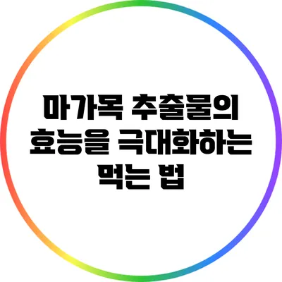 마가목 추출물의 효능을 극대화하는 먹는 법