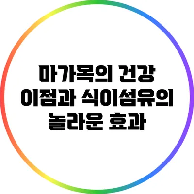 마가목의 건강 이점과 식이섬유의 놀라운 효과