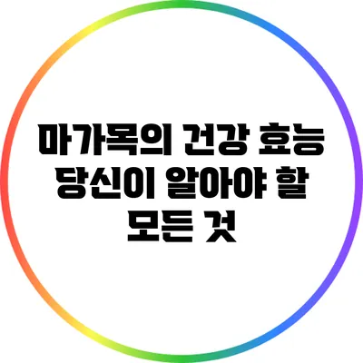 마가목의 건강 효능: 당신이 알아야 할 모든 것