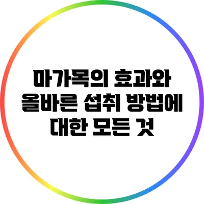 마가목의 효과와 올바른 섭취 방법에 대한 모든 것