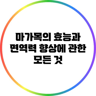 마가목의 효능과 면역력 향상에 관한 모든 것