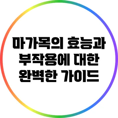 마가목의 효능과 부작용에 대한 완벽한 가이드