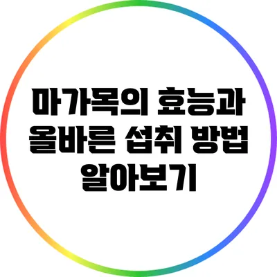 마가목의 효능과 올바른 섭취 방법 알아보기