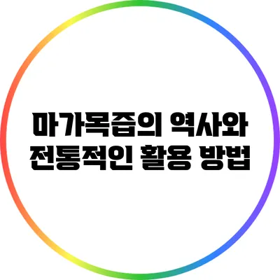 마가목즙의 역사와 전통적인 활용 방법