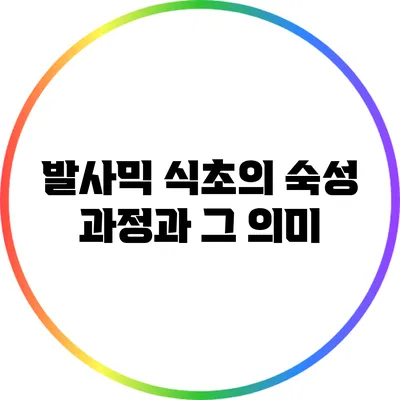 발사믹 식초의 숙성 과정과 그 의미
