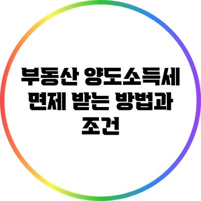 부동산 양도소득세 면제 받는 방법과 조건