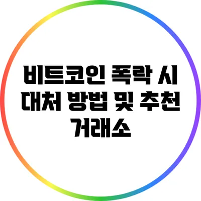 비트코인 폭락 시 대처 방법 및 추천 거래소