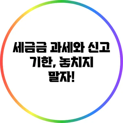 세금금 과세와 신고 기한, 놓치지 말자!