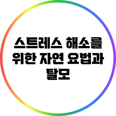 스트레스 해소를 위한 자연 요법과 탈모