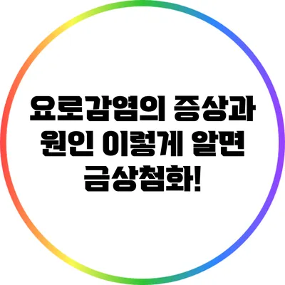 요로감염의 증상과 원인 이렇게 알면 금상첨화!