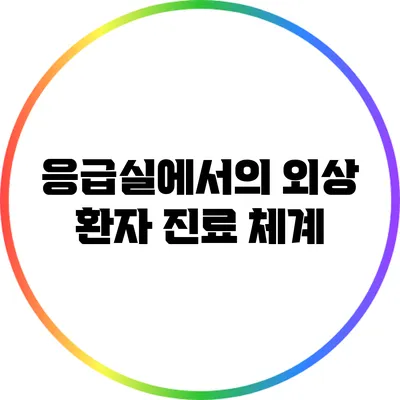 응급실에서의 외상 환자 진료 체계