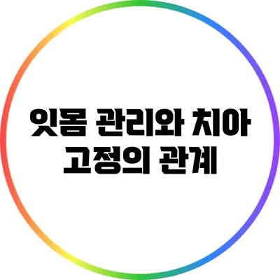 잇몸 관리와 치아 고정의 관계