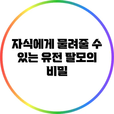 자식에게 물려줄 수 있는 유전 탈모의 비밀