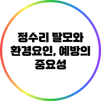 정수리 탈모와 환경요인, 예방의 중요성