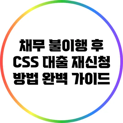 채무 불이행 후 CSS 대출 재신청 방법 완벽 가이드