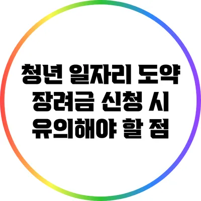 청년 일자리 도약 장려금 신청 시 유의해야 할 점
