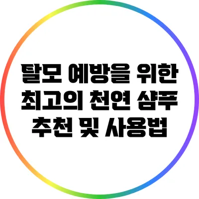 탈모 예방을 위한 최고의 천연 샴푸 추천 및 사용법
