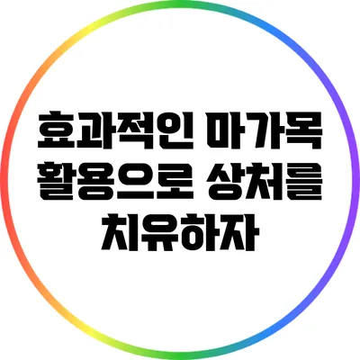 효과적인 마가목 활용으로 상처를 치유하자