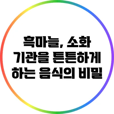 흑마늘, 소화 기관을 튼튼하게 하는 음식의 비밀