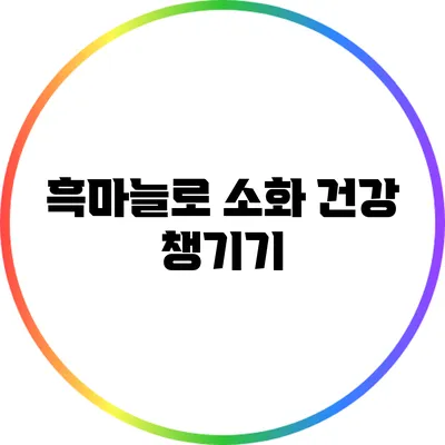 흑마늘로 소화 건강 챙기기