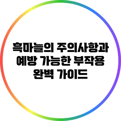 흑마늘의 주의사항과 예방 가능한 부작용 완벽 가이드