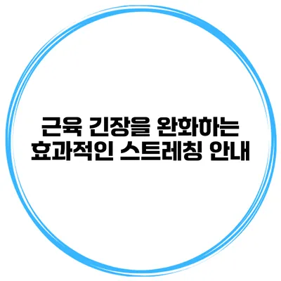 근육 긴장을 완화하는 효과적인 스트레칭 안내