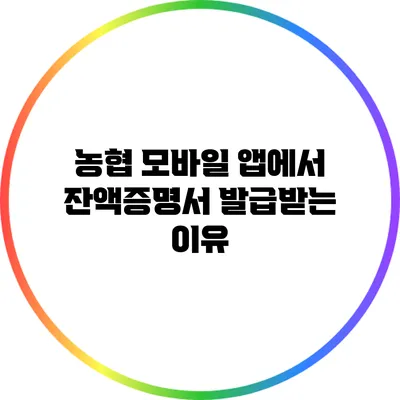 농협 모바일 앱에서 잔액증명서 발급받는 이유
