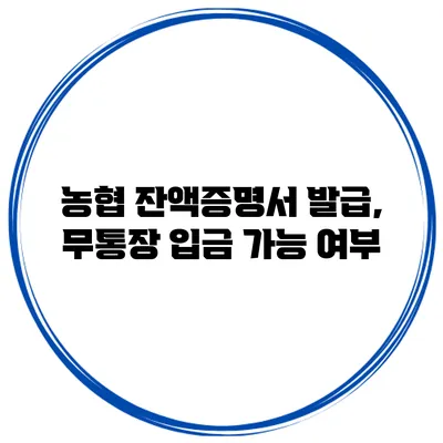 농협 잔액증명서 발급, 무통장 입금 가능 여부