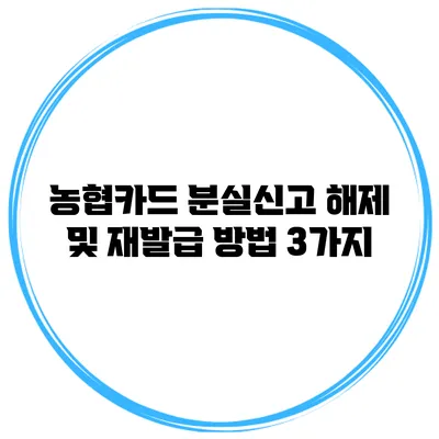 농협카드 분실신고 해제 및 재발급 방법 3가지