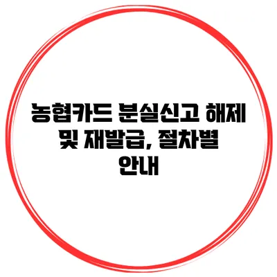 농협카드 분실신고 해제 및 재발급, 절차별 안내