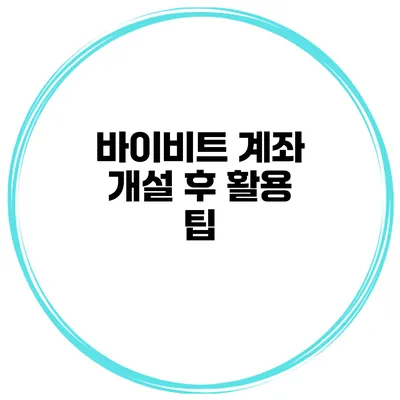 바이비트 계좌 개설 후 활용 팁