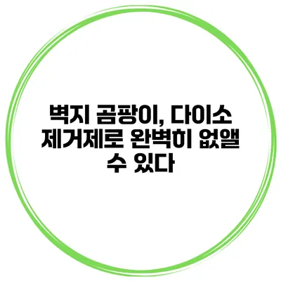 벽지 곰팡이, 다이소 제거제로 완벽히 없앨 수 있다