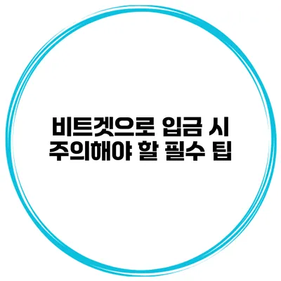 비트겟으로 입금 시 주의해야 할 필수 팁