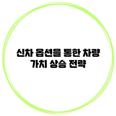신차 옵션을 통한 차량 가치 상승 전략
