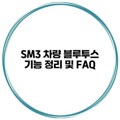 SM3 차량 블루투스 기능 정리 및 FAQ