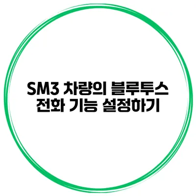 SM3 차량의 블루투스 전화 기능 설정하기
