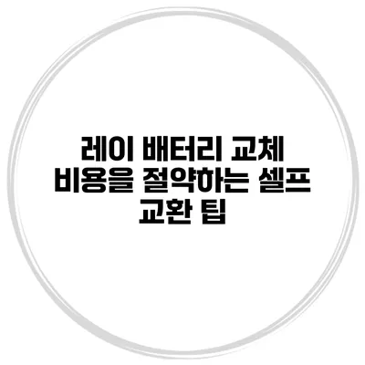 레이 배터리 교체 비용을 절약하는 셀프 교환 팁