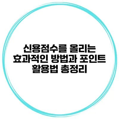 신용점수를 올리는 효과적인 방법과 포인트 활용법 총정리