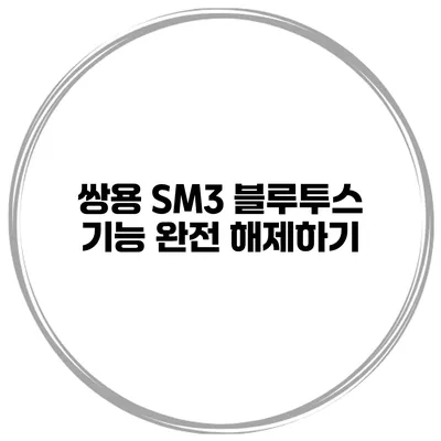 쌍용 SM3 블루투스 기능 완전 해제하기