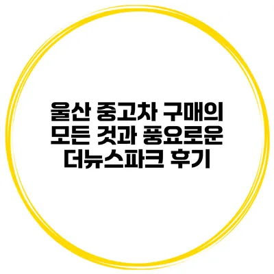 울산 중고차 구매의 모든 것과 풍요로운 더뉴스파크 후기